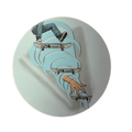 Victory Fingerboards Evolution Sticker