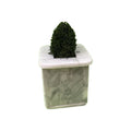 Butta Fingrz Marble Fingerboard Planter